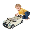 Simulated Driving Car